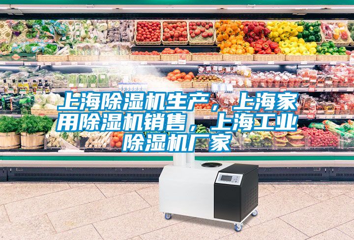 上海除濕機生產(chǎn)，上海家用除濕機銷(xiāo)售，上海工業(yè)除濕機廠(chǎng)家