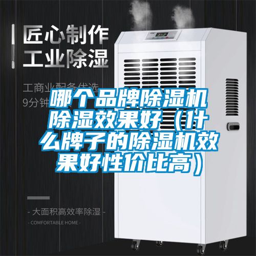 哪個(gè)品牌除濕機除濕效果好（什么牌子的除濕機效果好性?xún)r(jià)比高）