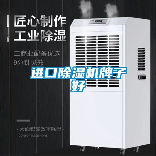 進(jìn)口除濕機牌子好
