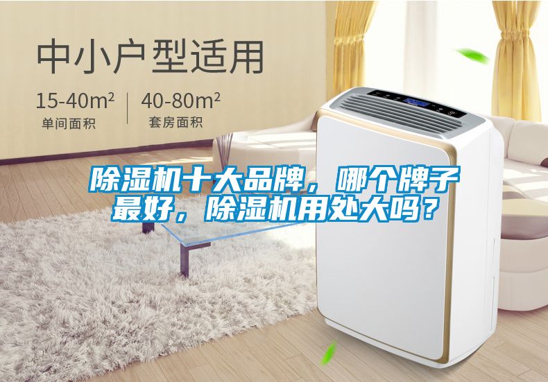 除濕機十大品牌，哪個(gè)牌子最好，除濕機用處大嗎？