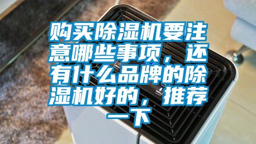 購買(mǎi)除濕機要注意哪些事項，還有什么品牌的除濕機好的，推薦一下