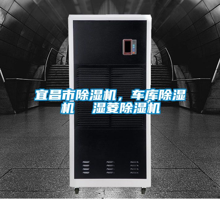 宜昌市除濕機，車(chē)庫除濕機  濕菱除濕機