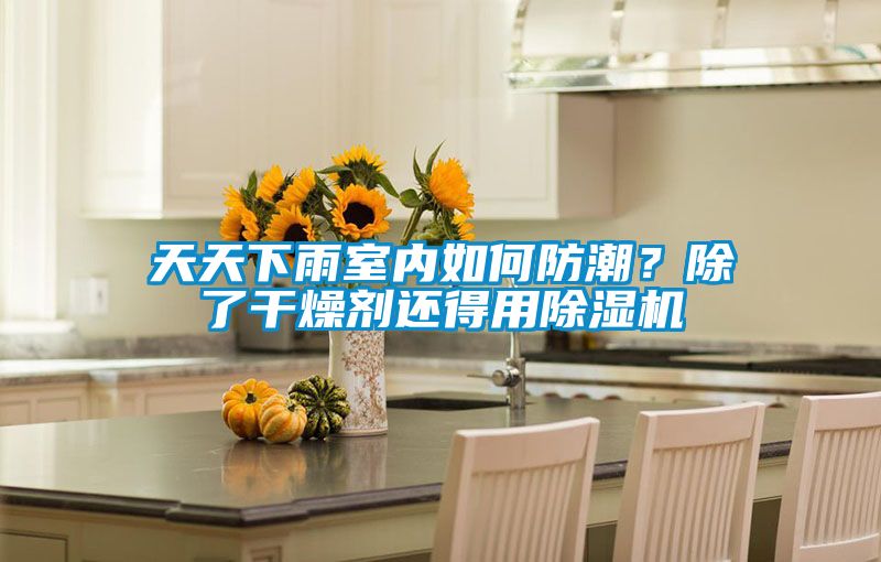 天天下雨室內如何防潮？除了干燥劑還得用除濕機