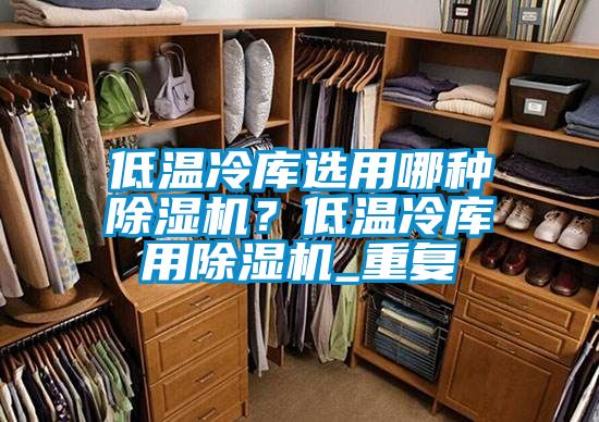 低溫冷庫選用哪種除濕機？低溫冷庫用除濕機_重復