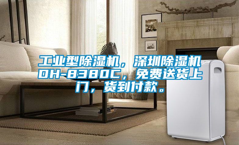 工業(yè)型除濕機，深圳除濕機DH-8380C，免費送貨上門(mén)，貨到付款。