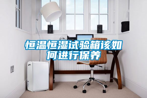恒溫恒濕試驗箱該如何進(jìn)行保養
