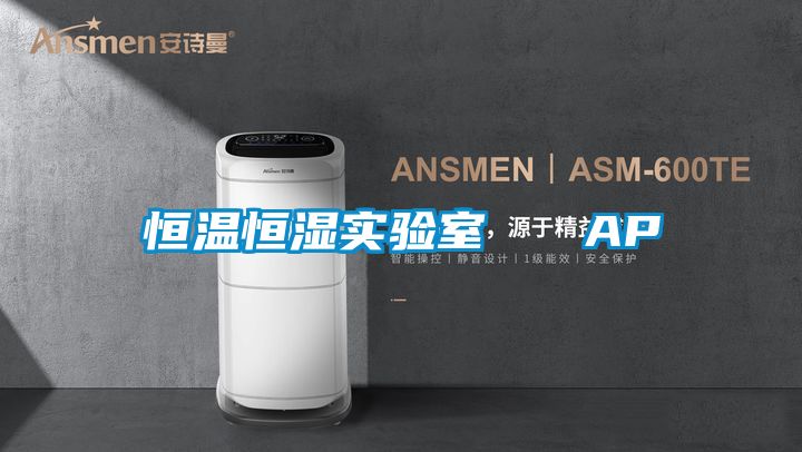 恒溫恒濕實(shí)驗室   AP
