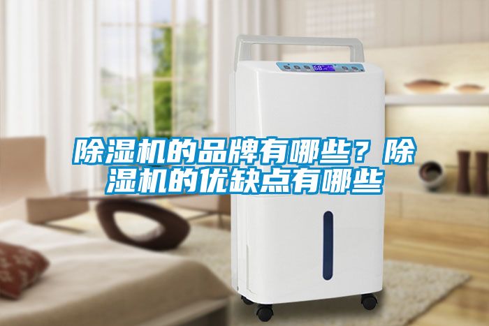 除濕機的品牌有哪些？除濕機的優(yōu)缺點(diǎn)有哪些