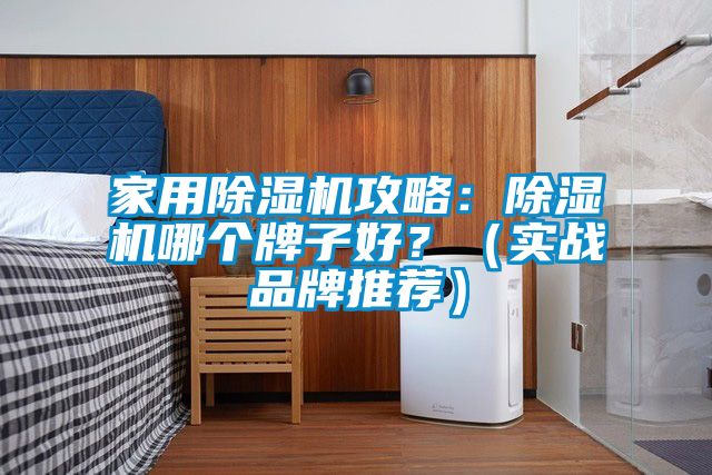 家用除濕機攻略：除濕機哪個(gè)牌子好？（實(shí)戰品牌推薦）