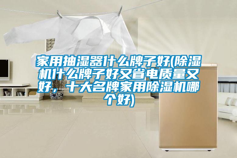 家用抽濕器什么牌子好(除濕機什么牌子好又省電質(zhì)量又好，十大名牌家用除濕機哪個(gè)好)