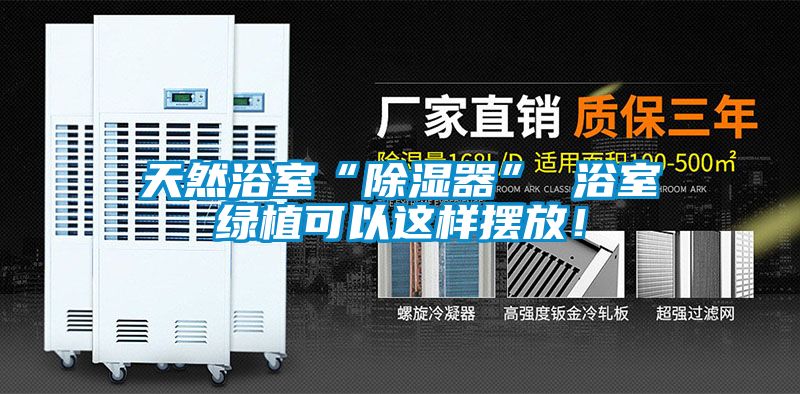 天然浴室“除濕器” 浴室綠植可以這樣擺放！