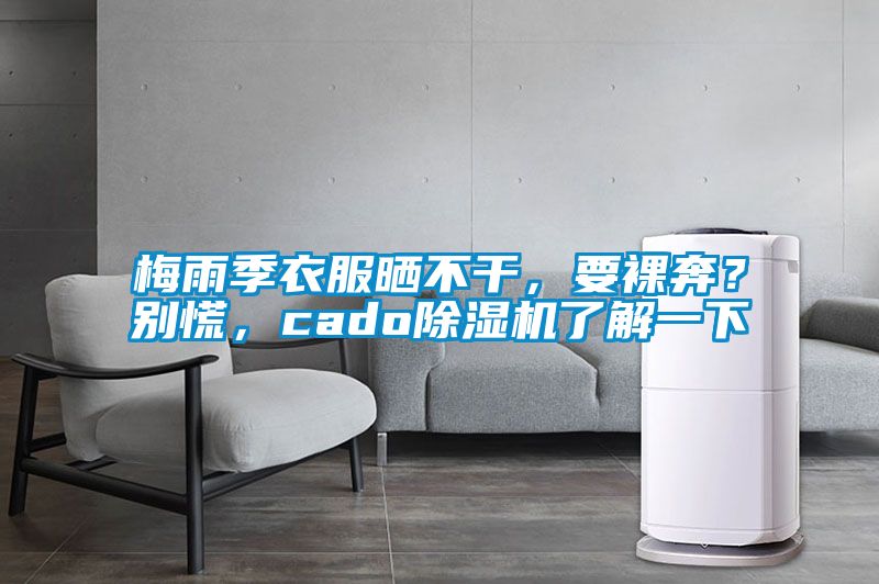 梅雨季衣服曬不干，要裸奔？別慌，cado除濕機了解一下