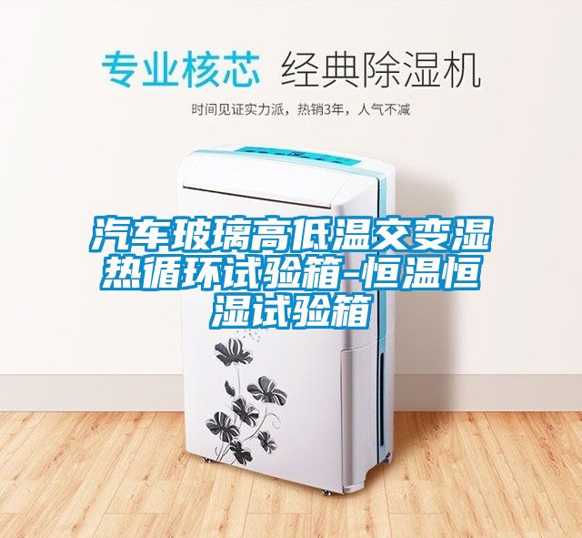 汽車(chē)玻璃高低溫交變濕熱循環(huán)試驗箱-恒溫恒濕試驗箱