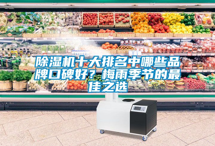除濕機十大排名中哪些品牌口碑好？梅雨季節的最佳之選