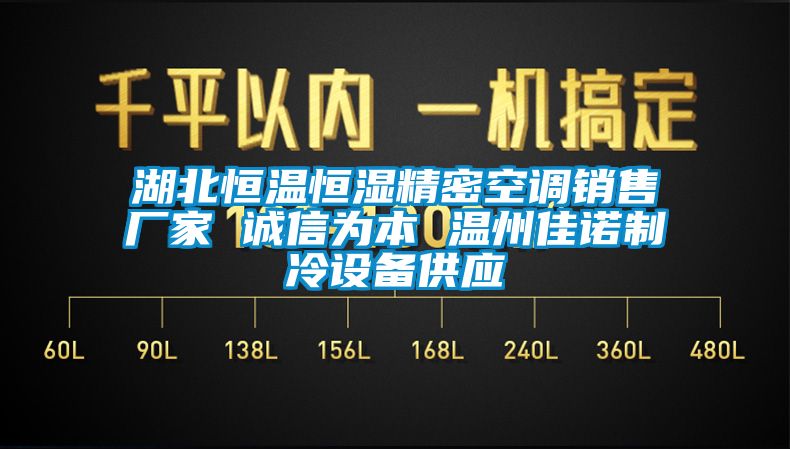 湖北恒溫恒濕精密空調銷(xiāo)售廠(chǎng)家 誠信為本 溫州佳諾制冷設備供應