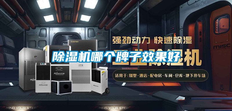 除濕機哪個(gè)牌子效果好