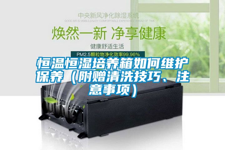 恒溫恒濕培養箱如何維護保養（附贈清洗技巧、注意事項）