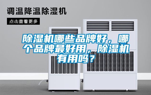 除濕機哪些品牌好，哪個(gè)品牌最好用，除濕機有用嗎？