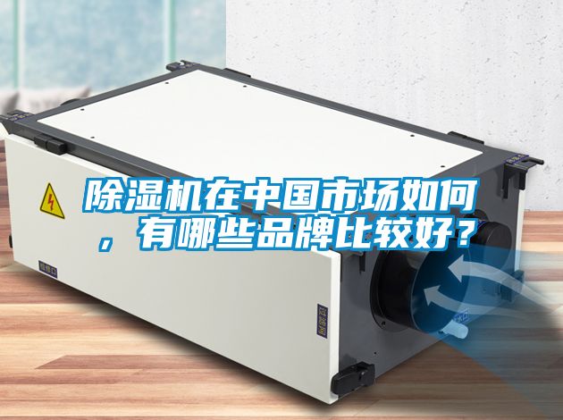 除濕機在中國市場(chǎng)如何，有哪些品牌比較好？