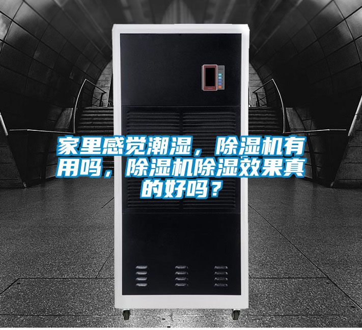 家里感覺(jué)潮濕，除濕機有用嗎，除濕機除濕效果真的好嗎？