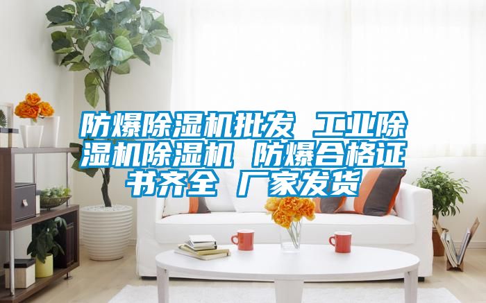 防爆除濕機批發(fā) 工業(yè)除濕機除濕機 防爆合格證書(shū)齊全 廠(chǎng)家發(fā)貨