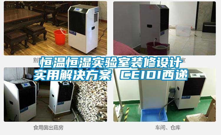 恒溫恒濕實(shí)驗室裝修設計實(shí)用解決方案 CEIDI西遞