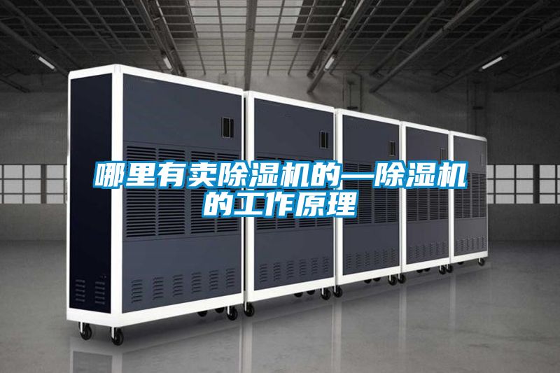 哪里有賣(mài)除濕機的—除濕機的工作原理