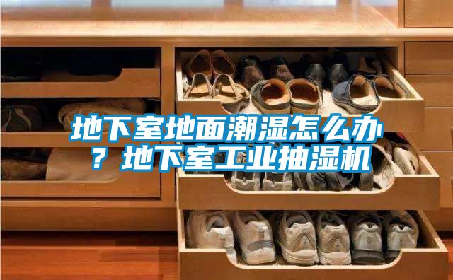 地下室地面潮濕怎么辦？地下室工業(yè)抽濕機