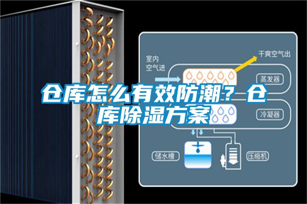 倉庫怎么有效防潮？倉庫除濕方案