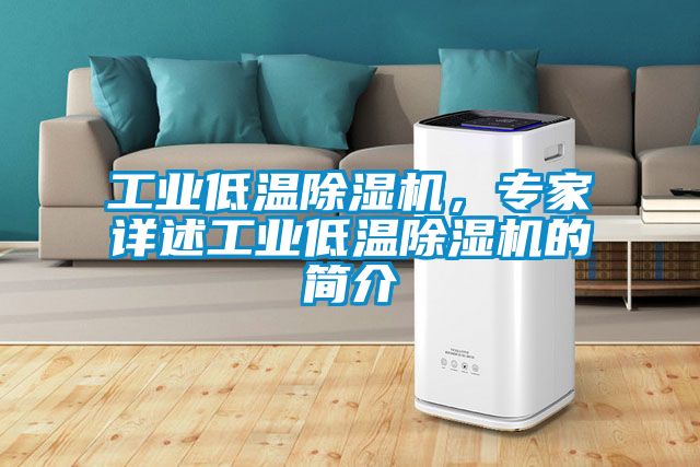 工業(yè)低溫除濕機，專(zhuān)家詳述工業(yè)低溫除濕機的簡(jiǎn)介