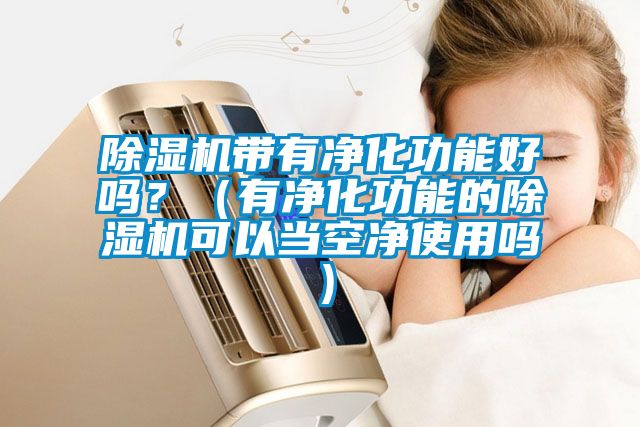 除濕機帶有凈化功能好嗎？（有凈化功能的除濕機可以當空凈使用嗎）