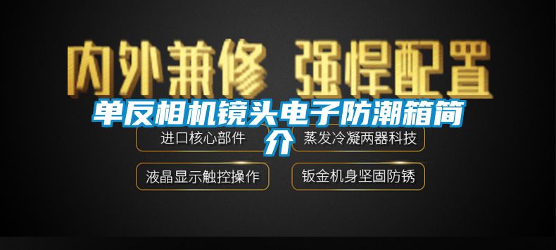單反相機鏡頭電子防潮箱簡(jiǎn)介