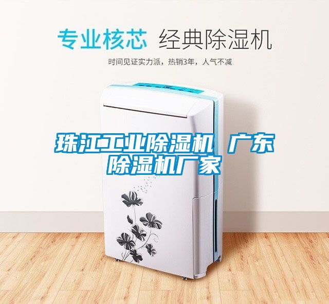 珠江工業(yè)除濕機 廣東除濕機廠(chǎng)家