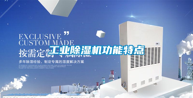 工業(yè)除濕機功能特點(diǎn)