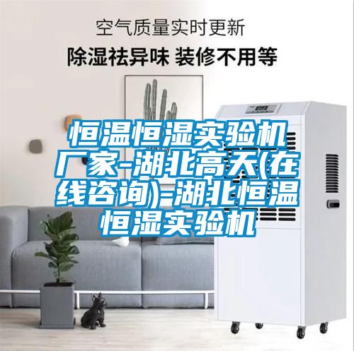 恒溫恒濕實(shí)驗機廠(chǎng)家-湖北高天(在線(xiàn)咨詢(xún))-湖北恒溫恒濕實(shí)驗機