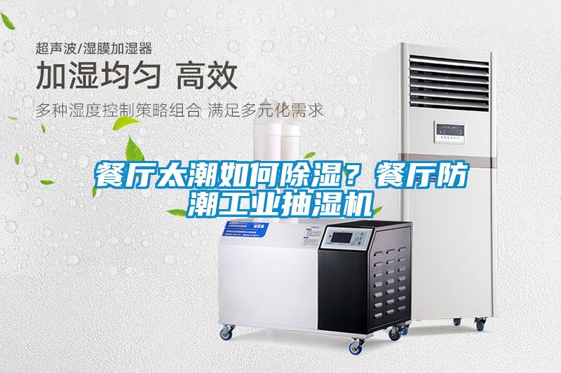 餐廳太潮如何除濕？餐廳防潮工業(yè)抽濕機