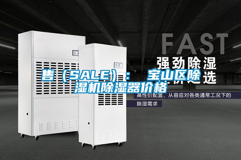 售（SALE）： 寶山區除濕機除濕器價(jià)格