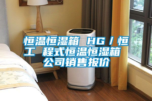 恒溫恒濕箱 HG／恒工 程式恒溫恒濕箱 公司銷(xiāo)售報價(jià)