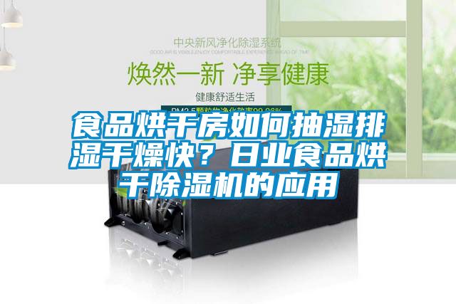 食品烘干房如何抽濕排濕干燥快？日業(yè)食品烘干除濕機的應用