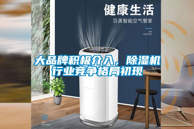 大品牌積極介入，除濕機行業(yè)競爭格局初現
