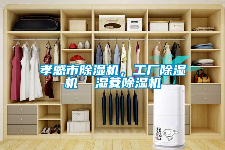 孝感市除濕機，工廠(chǎng)除濕機  濕菱除濕機