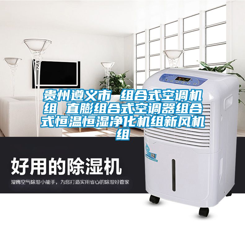 貴州遵義市 組合式空調機組 直膨組合式空調器組合式恒溫恒濕凈化機組新風(fēng)機組