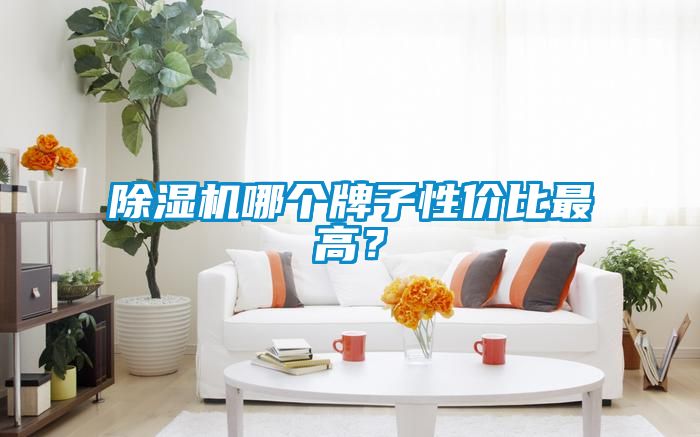 除濕機哪個(gè)牌子性?xún)r(jià)比最高？