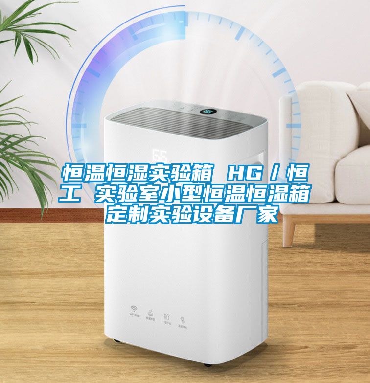 恒溫恒濕實(shí)驗箱 HG／恒工 實(shí)驗室小型恒溫恒濕箱 定制實(shí)驗設備廠(chǎng)家