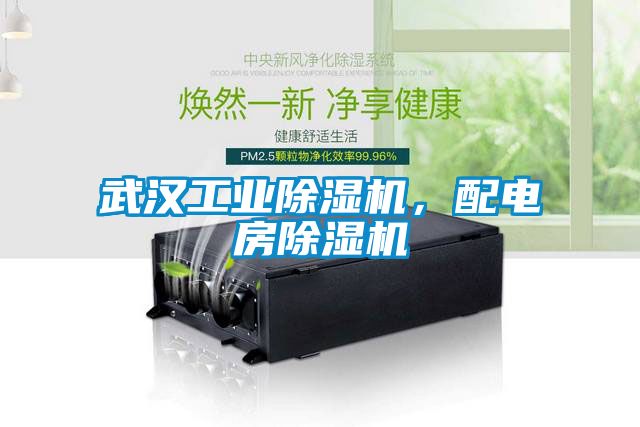 武漢工業(yè)除濕機，配電房除濕機