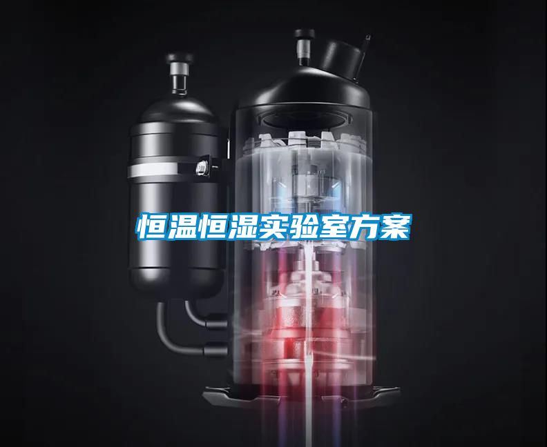 恒溫恒濕實(shí)驗室方案