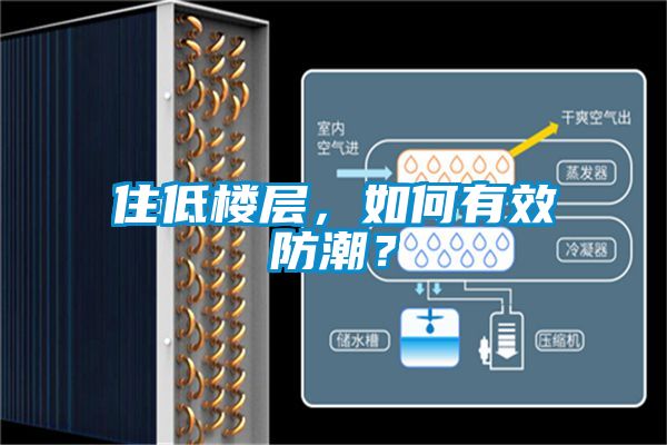住低樓層，如何有效防潮？