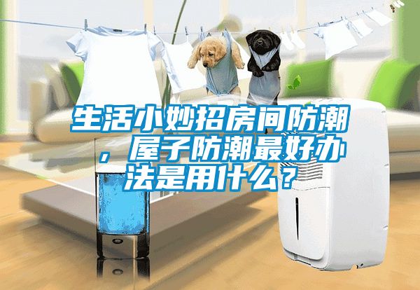 生活小妙招房間防潮 ，屋子防潮最好辦法是用什么？