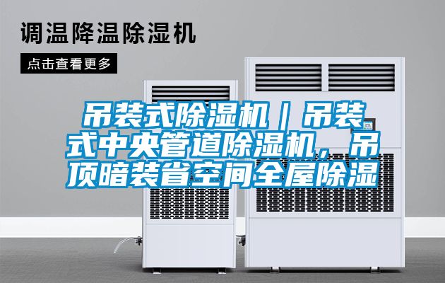 吊裝式除濕機｜吊裝式中央管道除濕機，吊頂暗裝省空間全屋除濕