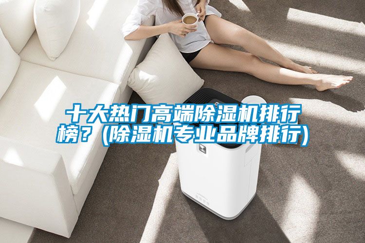 十大熱門(mén)高端除濕機排行榜？(除濕機專(zhuān)業(yè)品牌排行)